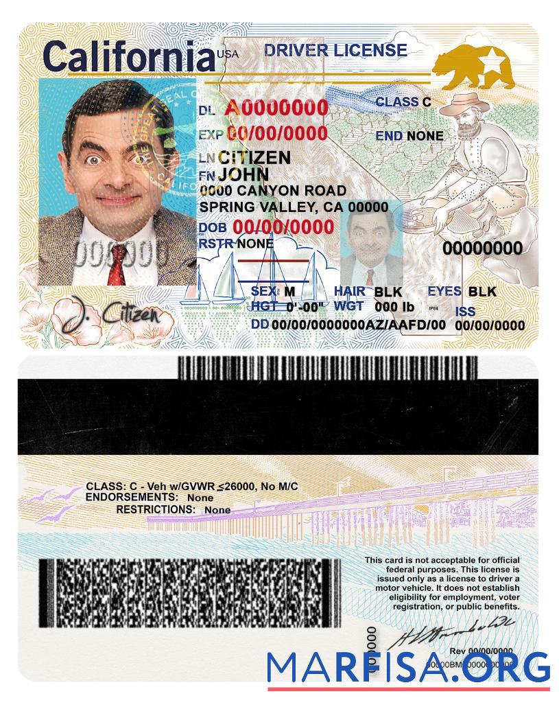 Blank USA California DL (2018, January – present) download for verification